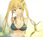  bad_id bad_pixiv_id bikini blonde_hair breasts cleavage coin_rand large_breasts long_hair original solo swimsuit twintails yellow_eyes 