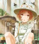  arms_between_legs bag bee bench brown_eyes brown_hair bug buttons cabin chin_strap daigoman flower forest handbag hat hat_flower insect lace long_sleeves looking_up meiko nature outdoors petals sakine_meiko short_hair solo translation_request tree vocaloid 