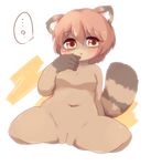  2010 akitaka female kemono mammal nude pussy raccoon solo yellow_eyes 
