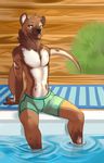  2015 african_wild_dog anthro canine clothed clothing demicoeur fur hybrid looking_at_viewer male mammal mustelid otter outside pinup pool pose smile solo swimsuit white_fur 