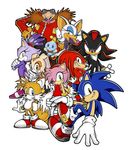  amy_rose blaze_the_cat cheese_the_chao cream_the_rabbit dr._eggman knuckles_the_echidna miles_prower official_art rouge_the_bat sega shadow_the_hedgehog sonic_(series) sonic_the_hedgehog 