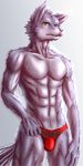  abs anthro biceps big_muscles bulge canine clothed clothing fur grey_fur hair half-dressed hastora_(pixiv) looking_at_viewer male mammal muscles pecs shiny solo speedo standing swimsuit toned topless underwear white_fur wolf 