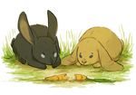  2014 angry black_fur brown_fur carrot cute cuteskitty duo feral fur grass grey_eyes lagomorph mammal outside rabbit sad white_eyes 