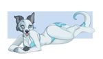 2015 anthro bikini blue_eyes breasts canine cleavage clothed clothing demicoeur female fur hybrid looking_at_viewer lying mammal pinup plain_background pose smile solo swimsuit tongue underwear white_fur 