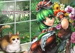  bow cat character_name copyright_name dress english flower forest front_ponytail green_eyes green_hair hair_bow kagiyama_hina nature open_mouth red_dress ribbon smile solo touhou umigarasu_(kitsune1963) window wrist_ribbon 