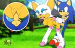  60_fps animated anthro balls bat big_breasts breasts duo female hedgehog male mammal nipples nude penetration penis pussy rouge_the_bat sega sex sfan sonic_(series) sonic_the_hedgehog straight vaginal vaginal_penetration video_games 