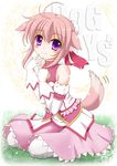  ahoge animal_ears bad_id bad_pixiv_id blush copyright_name dog_days dog_ears dog_girl dog_tail flipper gloves looking_at_viewer millhiore_f_biscotti pantyhose pink_hair purple_eyes short_hair smile solo tail tail_raised tail_wagging white_gloves 