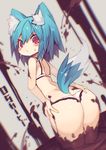  animal_ear_fluff animal_ears ass bare_arms blue_hair blush bra chocolate highres looking_at_viewer mamuru original panties red_eyes solo tail thong translated underwear underwear_only 