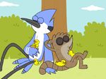  ambiguous_gender anthro avian bird blue_feathers blue_jay brown_fur cartoon_network cloud duck eyes_closed fur grass male mammal mordecai_(regular_show) outside raccoon regular_show rigby_(regular_show) sky sleeping tree xiamtheferret yellow_feathers 