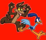  ambiguous_gender anthro avian bird blue_feathers brown_fur canine coyote fur looney_tunes mammal plain_background roadrunner teeth tongue warner_brothers wile_e._coyote xiamtheferret yellow_sclera 