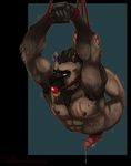 2015 abs anthro ball_gag balls bdsm biceps blue_eyes bondage bound brown_fur claws cum drooling epic_soul erection fur gag hair hyena kaiden male mammal muscles nipples nude open_mouth paws pecs penis piercing rope saliva scar sex_toy solo teeth vibrator 