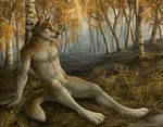  2015 autumn balls brown_fur canine forest fur male mammal nude outside penis penis_tip rukis sheath solo tree wolf 