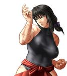  antenna_hair black_hair bow breasts brown_eyes clenched_hand covered_nipples fighting_stance hair_bow hakama japanese_clothes large_breasts leotard m.u.g.e.n original red_hakama scar sendai_hakurei_no_miko short_ponytail solo taikyokuturugi touhou transparent_background 