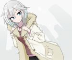  alternate_costume anastasia_(idolmaster) blue_eyes coat hinomaru_(futagun) idolmaster idolmaster_cinderella_girls looking_at_viewer parka short_hair silver_hair smile solo winter_clothes 