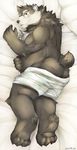  2015 anthro bear bed black_nose butt chubby cinna-tree clothed clothing eyewear fluff fur hair half-dressed looking_at_viewer looking_back lying male mammal on_bed on_side open_mouth small_ears solo topless underwear 