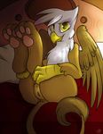  2015 anus avian butt female feral friendship_is_magic gilda_(mlp) gryphon looking_at_viewer meggchan my_little_pony pussy smile solo 