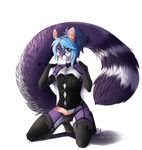  anthro big_tail blue_eyes blue_hair blush clothing corset crossdressing cute elbow_gloves erection fluffy_tail fur garter_belt girly gloves hair humanoid_penis kneeling lace legwear lingerie long_hair looking_at_viewer male mammal marsupial mirotic panties penis poking_out ponytail purple_fur smile solo stockings sugar_glider thong underwear 