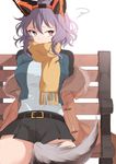  animal_ears asagaya_rin bandaid bandaid_on_nose bench coat grey_hair heterochromia original purple_eyes scarf short_hair sitting solo tail winter_clothes winter_coat yana_(nekoarashi) 