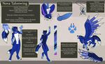  2015 all_fours avian balls ballsac beak canine claws demgriff digitigrade feathered_crest feathered_wings feathers feral flying gryphon herm hybrid intersex knot mammal model_sheet nova nova_talonwing paws penis pussy solo talons teasing whitefeathers wings 