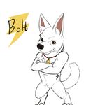  &lt;3 2015 anthro anthrofied bolt bolt_(film) brown_eyes canine caricature collar disney dog erect_ears feral fur german_shepherd heroic heroic_pose invalid_tag lightning_bolt male mammal plain_background pose smile solo tattoo text 