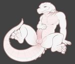  alligator anus erection long_foreskin male penis reptile scalie the_secret_cave uncut 