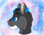  abstract_background blue_eyes blue_fur feline fur grey_fur invalid_tag male mammal pink_nose 