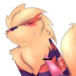  arcanine blush canine dog japanese_text male mammal nintendo penis pok&eacute;mon sweat text video_games white_monkey 