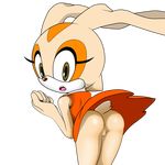  anus butt cream_the_rabbit female jetfrozen lagomorph looking_at_viewer mammal pussy rabbit sega skirt solo sonic_(series) surprise 