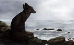  aseethe black_nose brown_hair canine day detailed_background digital_media_(artwork) hair mammal outside rock shore sitting sky water whiskers 