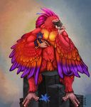  arrakoa avian feathers male solo tagme video_games warcraft wings world_of_warcraft 