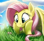  2015 arthropod cute equine female feral fluttershy_(mlp) friendship_is_magic insect ladybug mammal my_little_pony otakuap pegasus smile wings 