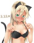  amai_nekuta animal_ears black_bra blonde_hair blush bra breasts cat_day cat_ears cat_tail dated green_eyes heinrike_prinzessin_zu_sayn-wittgenstein long_hair looking_at_viewer medium_breasts noble_witches solo tail underwear world_witches_series 