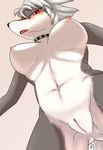  breasts canine fur grey_fur grey_hair hair kemono mammal nipples open_mouth pussy red_eyes unknown_artist wolf 