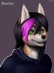  2015 ambiguous_gender anthro bachan black_hair bust canine eldiman eyelashes fox fur green_eyes hair hoodie long_hair looking_at_viewer mammal pointy_ears purple_hair smile solo tan_fur two_tone_hair white_fur 