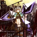  animal_ears basket danbo_(rock_clime) grey_hair jewelry mouse mouse_ears mouse_tail nazrin pendant red_eyes short_hair solo tail touhou 