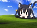  :&lt; animal_ears bliss_(image) cat_ears cat_tail k-on! nakano_azusa solo tail third-party_edit 