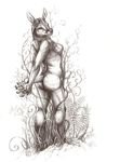  cervine deer female kirsch mammal nude pose solo traditional_media_(artwork) 