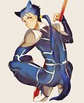  animal_ears bad_id bad_pixiv_id blue_hair fate/stay_night fate_(series) gae_bolg kemonomimi_mode lancer naoko_(juvenile) polearm ponytail spear squatting tail weapon wolf_ears wolf_tail 