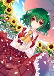  ascot blush curly_hair day dutch_angle field flower flower_field green_hair jpeg_artifacts kazami_yuuka looking_at_viewer md5_mismatch outdoors petals plaid plaid_skirt plaid_vest red_eyes short_hair skirt skirt_set sky smile solo sunflower suzushiro_kurumi touhou umbrella vest 