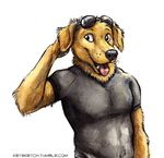  2014 anthro bojack_horseman canine clothed clothing dog eyewear glasses kenket male mammal mr._peanutbutter solo 