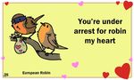 &lt;3 animated avian bird birdcheese cute english_text holidays robin text valentine&#039;s_day 
