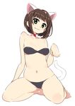  animal_ears bikini black_bikini blush breasts brown_hair cat_ears cat_tail chan_co choker fang full_body green_eyes idolmaster idolmaster_cinderella_girls looking_at_viewer maekawa_miku medium_breasts navel paw_pose short_hair simple_background sitting smile solo swimsuit tail wariza white_background 