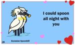  &lt;3 animated avian bird birdcheese cute english_text holidays spoonbill text valentine&#039;s_day 
