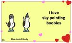  &lt;3 ambiguous_gender animated avian bird birdcheese black_eyes english_text holidays humor pun text valentine&#039;s_day 