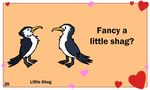  &lt;3 animated avian bird birdcheese black_eyes cute duo english_text holidays open_mouth text valentine&#039;s_day 