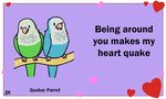  &lt;3 animated avian bird birdcheese black_eyes blush cute duo english_text eyes_closed holidays parrot text valentine&#039;s_day 