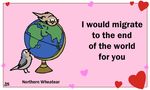  &lt;3 animated avian bird birdcheese black_eyes cute duo english_text globe holidays text valentine&#039;s_day 