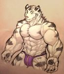 anthro blue_eyes bulge feline fur istani looking_at_viewer male mammal muscles one_eye_closed smile solo tiger white_fur white_tiger wink 