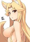  animal_ears blonde_hair blush breasts fox_ears fox_tail jingai_modoki large_breasts long_hair looking_at_viewer nipples nude simple_background sketch solo tail upper_body white_background yellow_eyes 