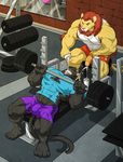  cum dumbbell erection feline gym lion mammal muscles panther penis wfa workout 